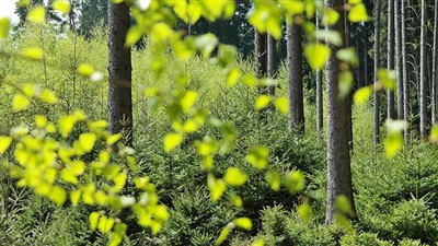 Hesheng Innovation Development Company Champions Sustainability in A Plastic ...