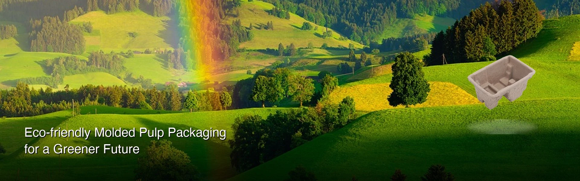 Eco-friendly molded pulp packaging for a greener future