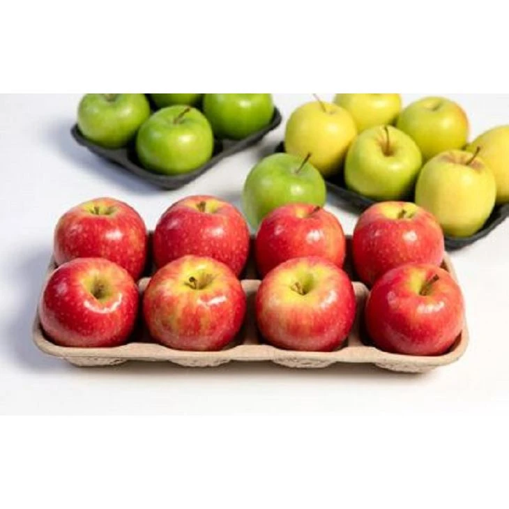 Compostable Molded Pulp Fresh Fruit Produce Tray