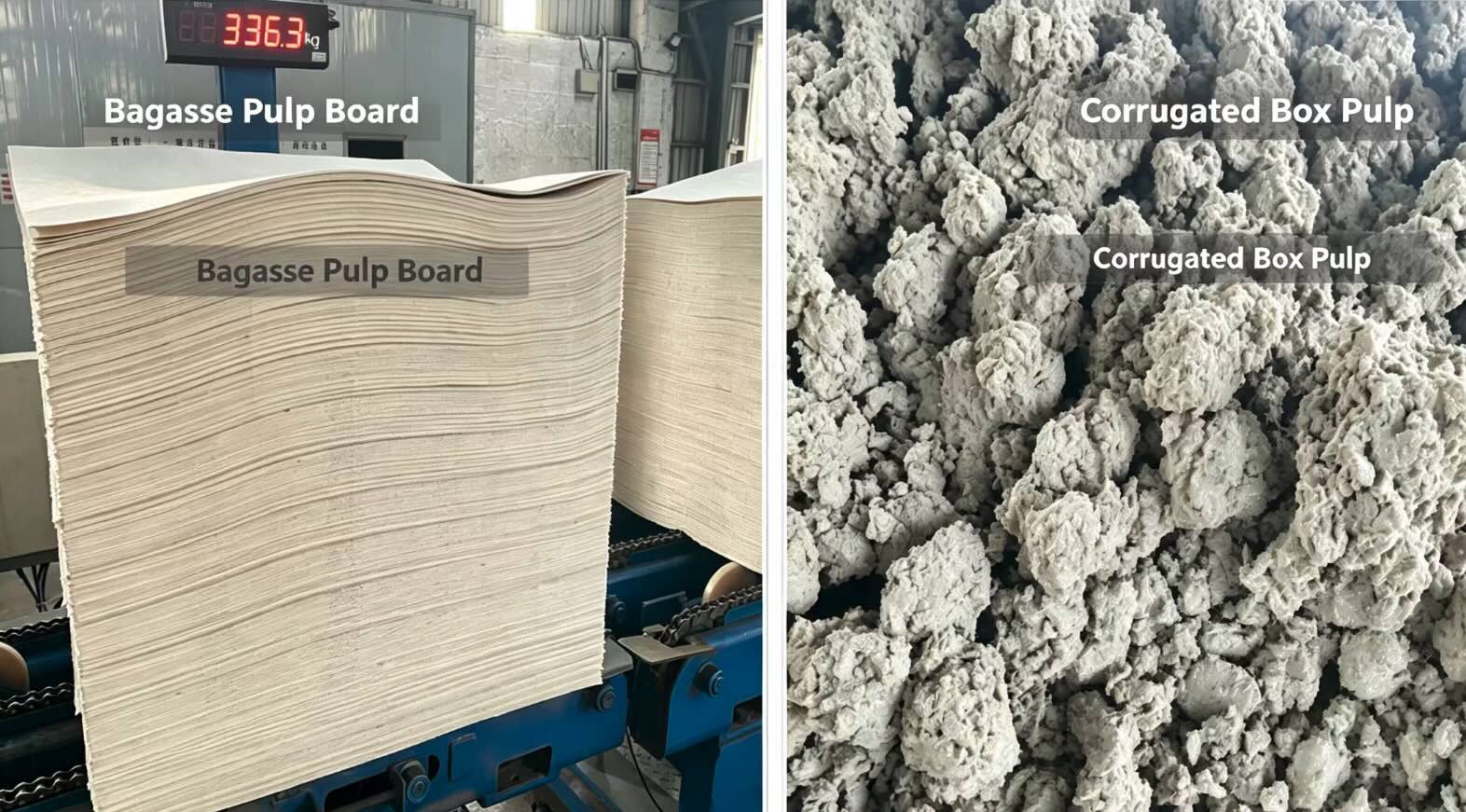 bagasse and bamboo pulp raw materials for molded pulp