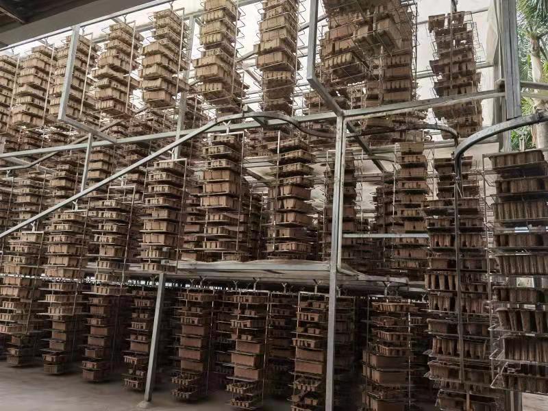 molded pulp manufacturing line