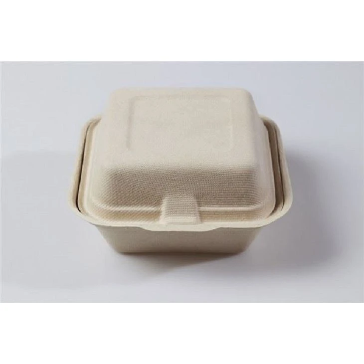 PFAS-Free Compostable Food Container With Lid