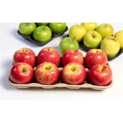 Compostable Molded Pulp Fresh Fruit Produce Tray